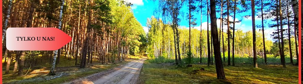Duża działka rekreacyjna blisko jeziora!!!