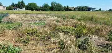 Działka na sprzedaż 1000m2