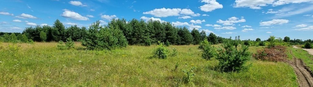 Działka budowlana dalny las, płaska, serwy