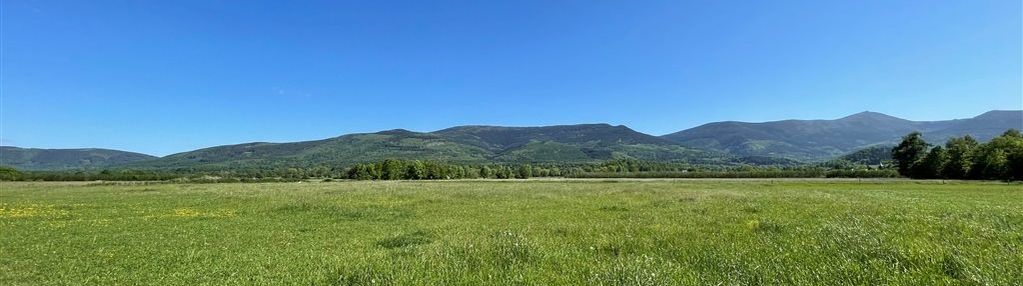 Widokowa działka 2392 m². 2 km do karpacz