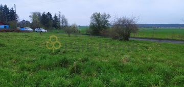 Duża działka zagrodowa w krążkowie!