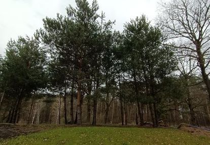 Działki budowlane w różankach!