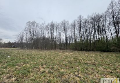 Działka z potencjałem pod twój dom