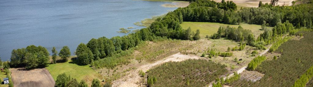 Działka nad jeziorem - linia brzegowa jeziora, las