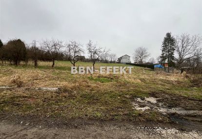 Żywiec-sporysz