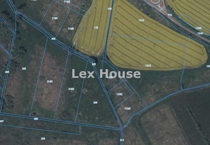 Sprzedam działki w niechorzu.