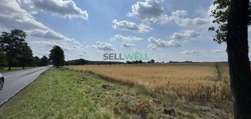 Działka inwestycyjna 3,39 ha - dalików