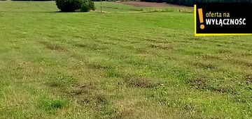 Działka pod agroturystykę w celinach 3,5 ha