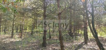 Piekne działka w zarębach