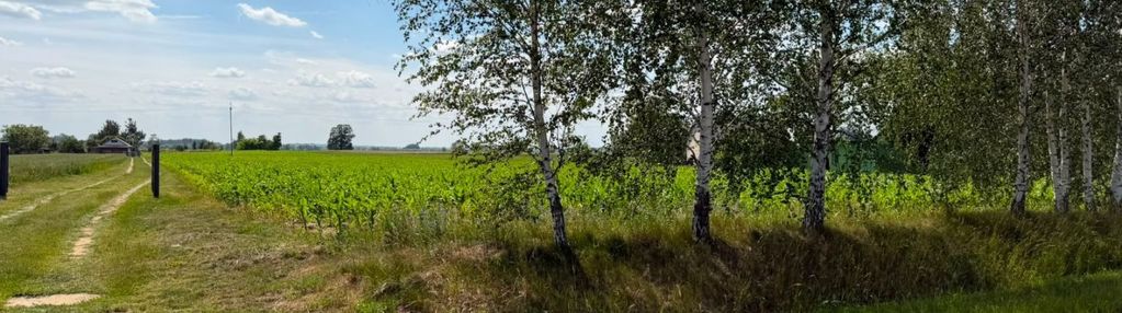 Sieniawa gm. 1,22ha rolna przy drodze asfaltowej