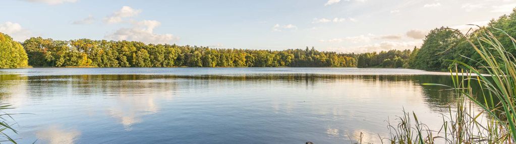 Działka w pierwszej linii od jeziora.piękny widok.