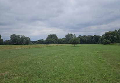 Działka budowlano-rolna wilków polski