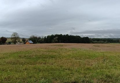 Ełganowo/trąbki wielkie - 10siedlisk o pow. 3200m2