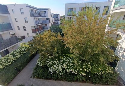 Duże 2pok. na osiedlu klasyków. oddzielna kuchnia