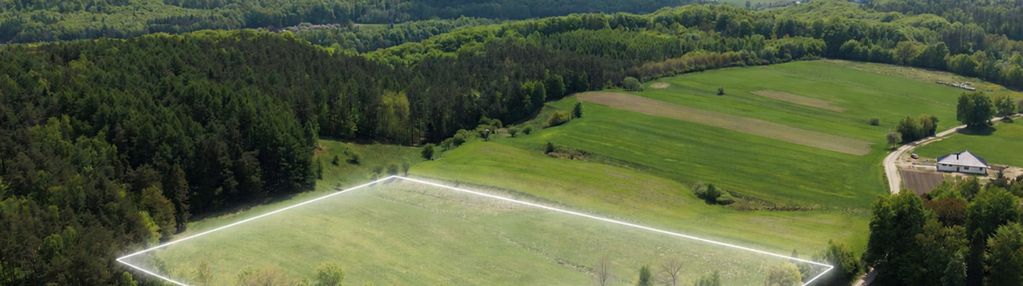 Działka 3500 m² z wz –michalin, gm. przywidz