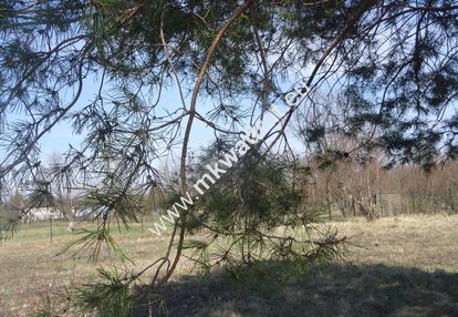 Działka blisko zbiornika komorowskiego