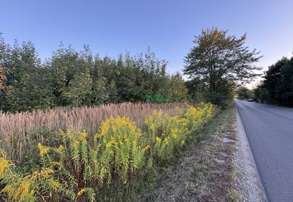 Działka pod zabudowę - jordanów