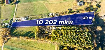 Działka z bijącym źródłem i kawałkiem lasu