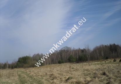 Przy trasie katowickiej! mkwadrat.eu zobacz!!