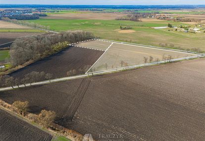 Mpzplogistyka,magazyn,auto,>areał,przya4,transport