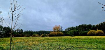 Dla inwestora