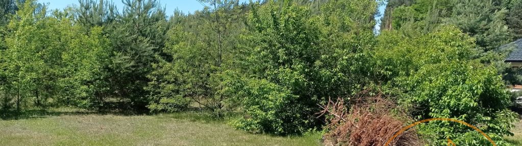 1500 m2 w lipowie pod mpzp