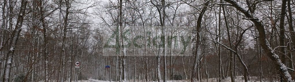 Przepiękne miejsce na choszczówce, 1562m