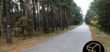 Bardzo duża działka leśna, białobrzegi