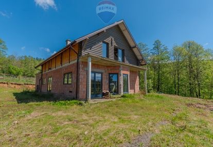 " na wzgórzu , z prywatnym lasem i strumykiem "