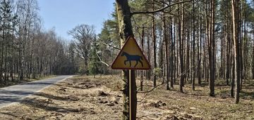 Budowlana działka z wz w mogilnie gm. warta