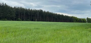 2,5 ha działki rolnej w okazjonalnej cenie