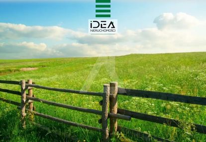 Bez pcc - 97,500 netto!