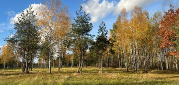 Działka budowlana nr 60/22 józefów gmina pniewy