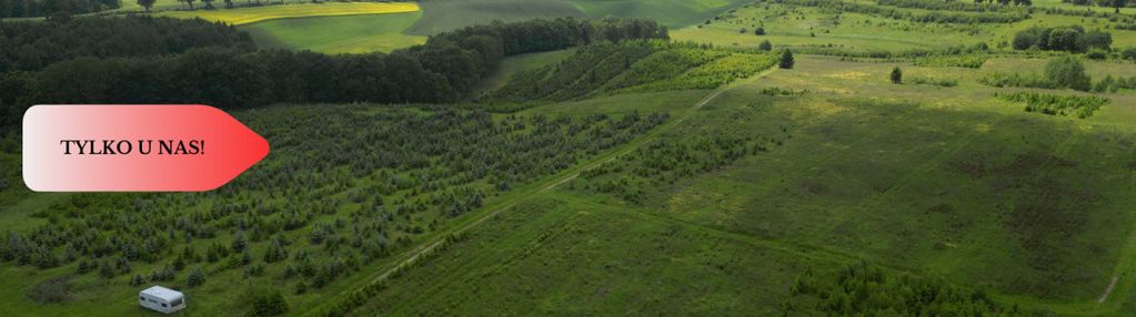 Działki w miradowie.