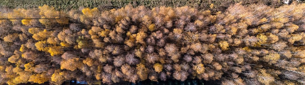 Do sprzedania działka budowlana w kaleń towarzystw