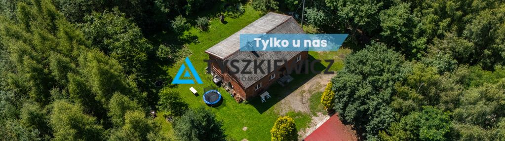 Siedlisko z potencjałem w wysinie