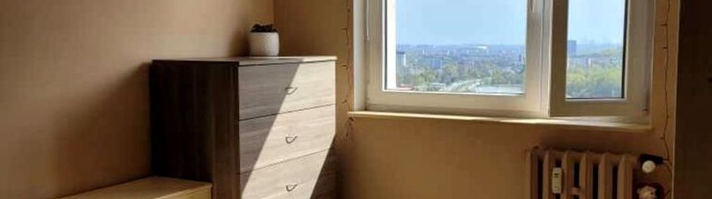 Ielony azyl w gdańsku – widok na las