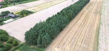 Działka rolno-rekreacyjna, droga dojazdowa