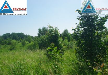 2 ostatnie działki budowlane - kolonia mokiny