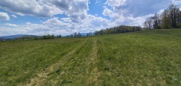 Działka w łomnicy