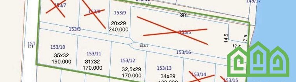 Dziłki w pierwszej lini brzegowej zalesie królews.