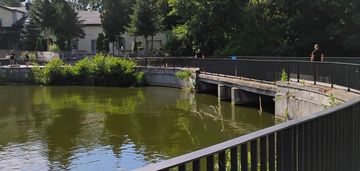 Ostatnie w tym układzie❗☘️stawy stefańskiego