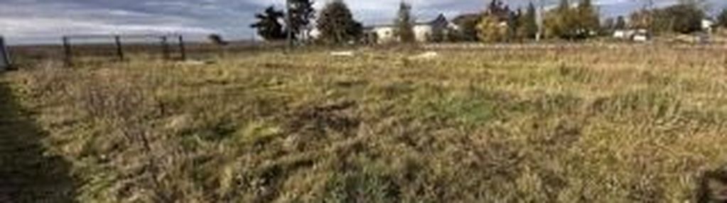 Działka 1161m2, parzęczew