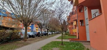 Na wynajem 3 pokoje wrocław ul pirenejska/krzyki