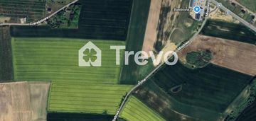 15 min do morza | duża działka