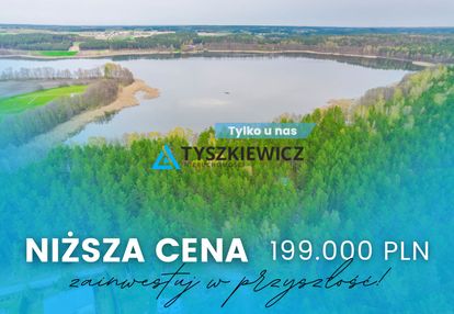 Las z linią brzegową jeziora - piece %nowa cena%