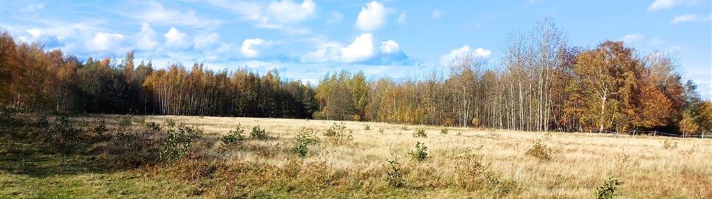Działka rolna ze stawem izery