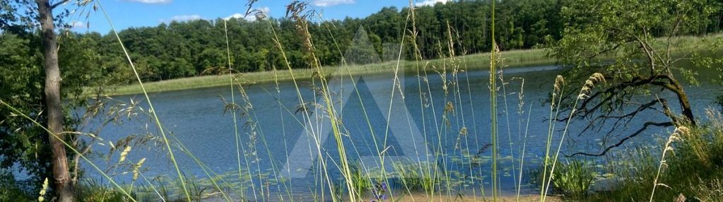 Z linią brzegową-krajeński park krajobrazowy