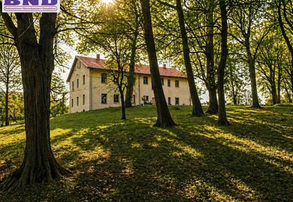 Pałac z parkiem 0,95 ha pod inwestycję w milicach