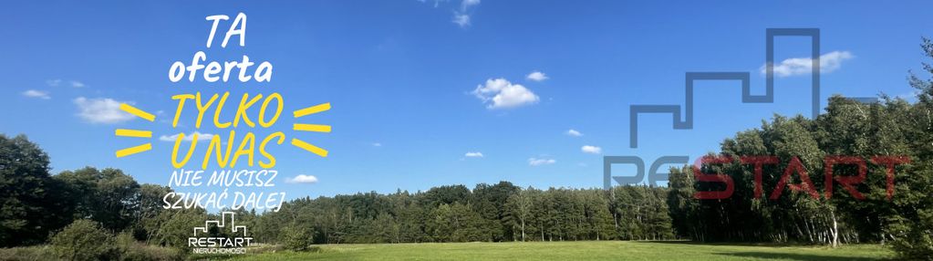 Urokliwe siedlisko na skraju bolimowskiego pk